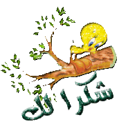  الشيخ / أبو بكر الحنبلي في مسجد الهدي المحمدي 517985